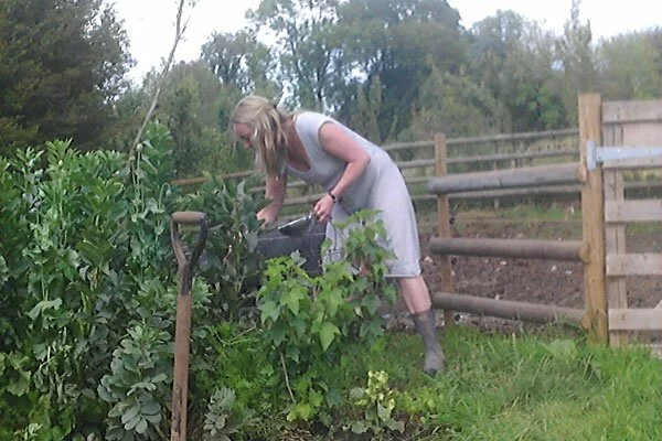 Lazy Gardening 1 Lazy Gardening 1