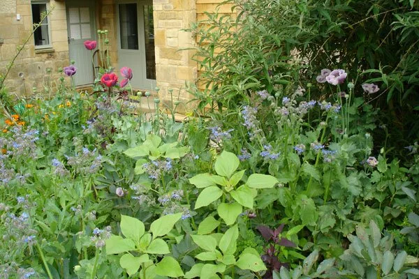 Lazy Gardening 2 Lazy Gardening 2