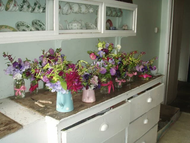 flower-patch-photo-flowers flower-patch-photo-flowers