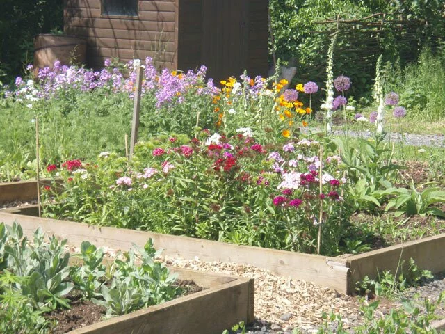 flower-patch-photo-raised flower-patch-photo-raised
