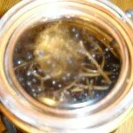 DSC03556