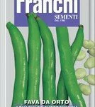 broad bean seeds