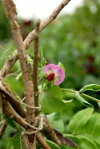 _6M_QbMHp3yQTD0GNoQ61AJehzWWkjCRAgkO-jnHpjc