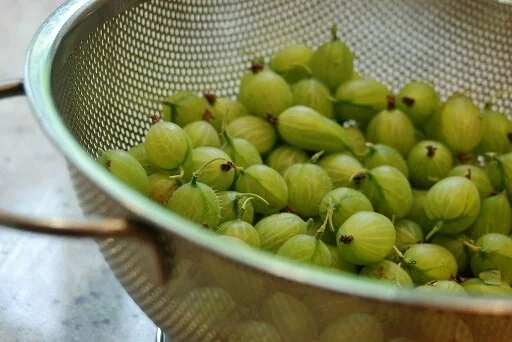 V2Bs9mu5e4qkwSLzS4YPrkDzHDTcP2dCtInOdGXuBPI