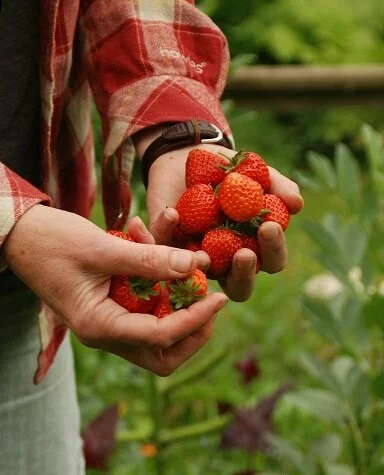 oB0jQMoy_9WRw1ASCNDZvyMkVJlq5okhPC9HomkwV3U